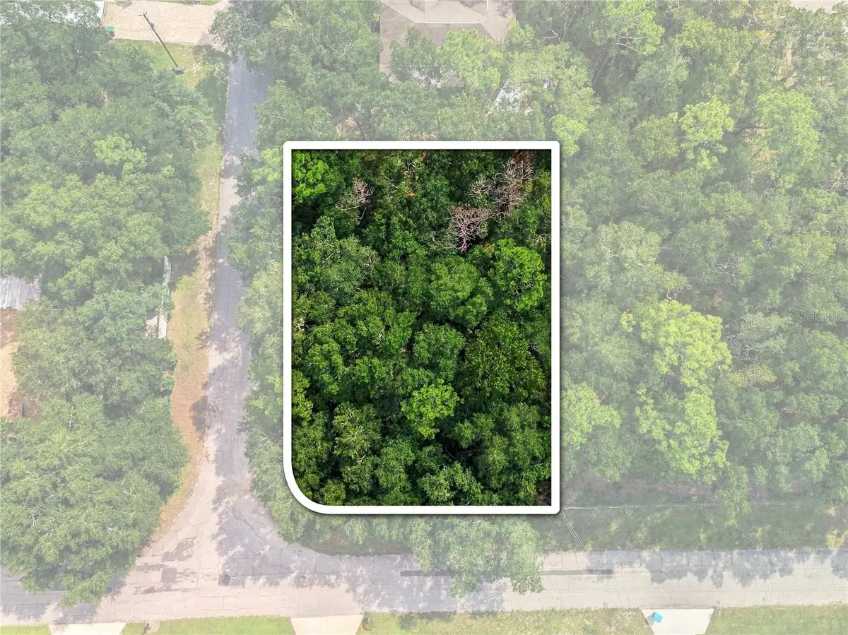 1614 W Hill Lane, Citrus Springs, FL 34434 - #1