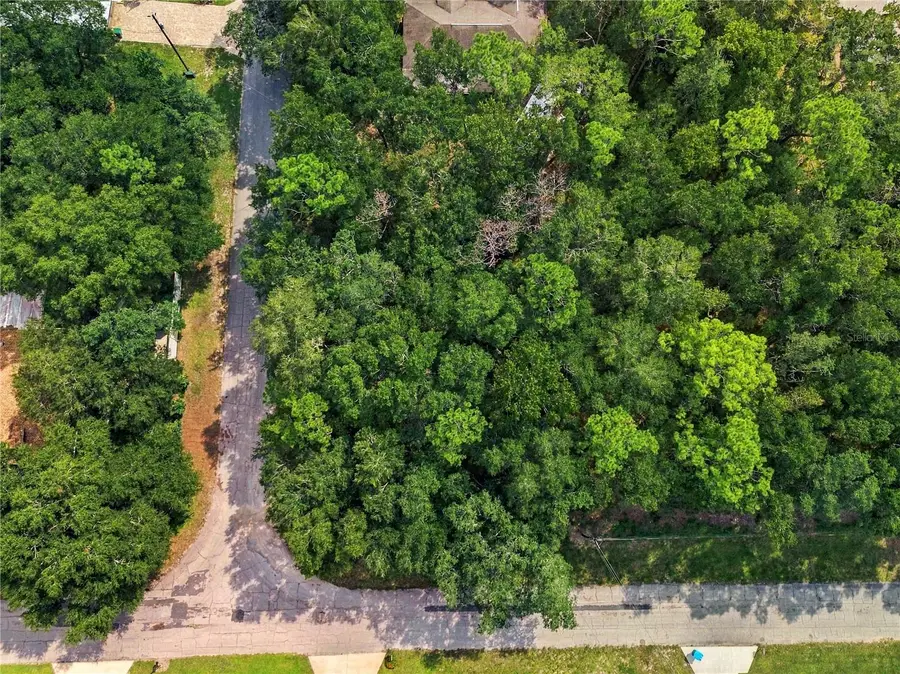 1614 W Hill Lane, Citrus Springs, FL 34434 - #2