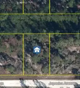 3021 Japonica Avenue, Lake Placid, FL 33852 - #2