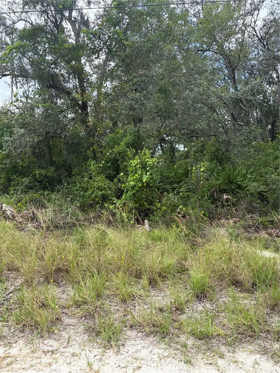 10333 Gilmer, New Port Richey, FL 34654 - #1