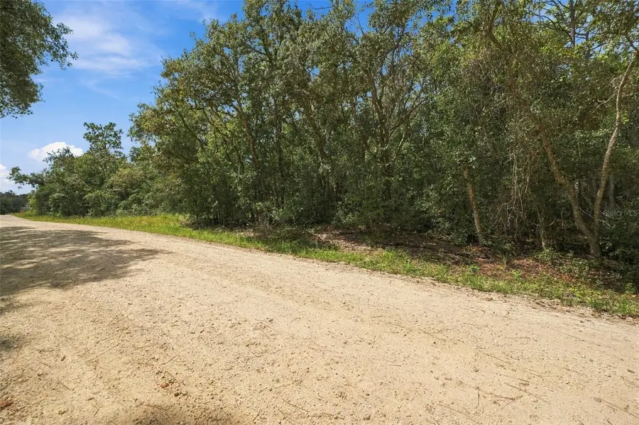 Elaine Drive, Webster, FL 33597 - #3