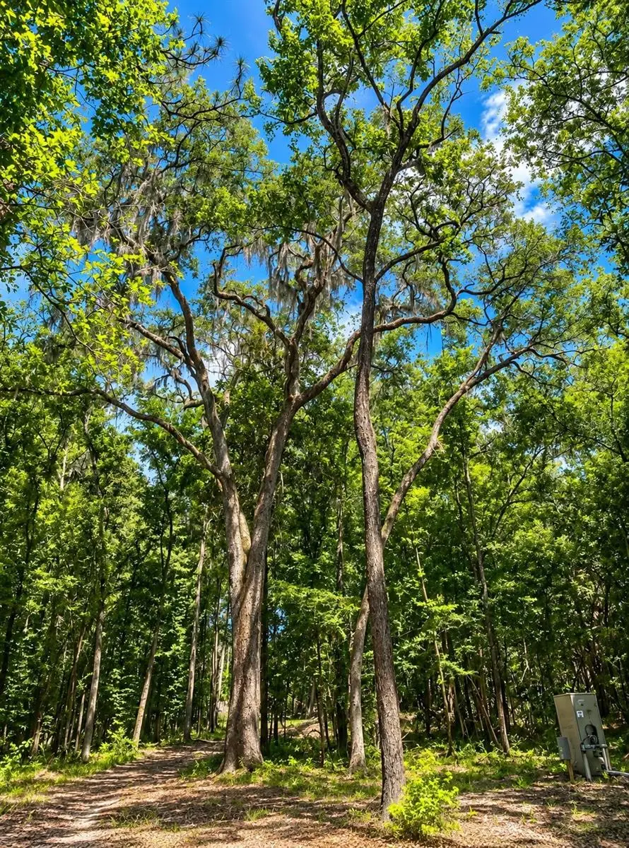 Snow Memorial, Brooksville, FL 34601 - #1