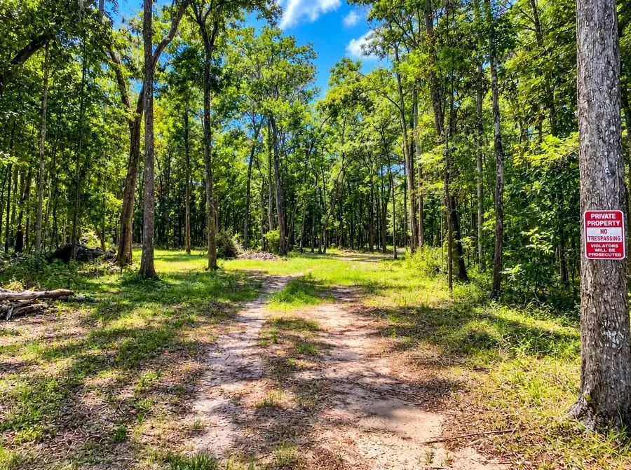 Snow Memorial, Brooksville, FL 34601 - #3