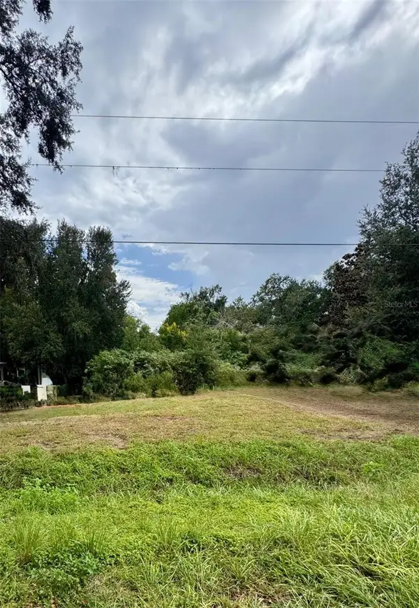 23154 Foreside Avenue, BROOKSVILLE, FL 34601