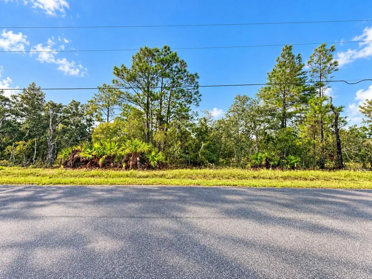 13052 Jaywalk Road, Weeki Wachee, FL 34614 - #1