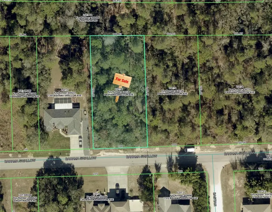 7301 Bahama Swallow Avenue, Weeki Wachee, FL 34613 - #2