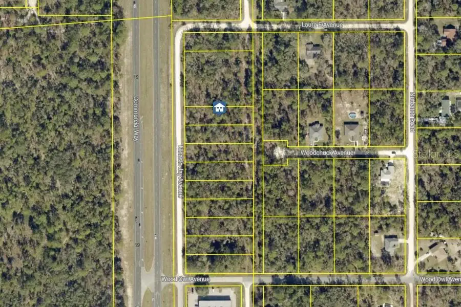 LOT 5 Nicasio Jay Avenue, Weeki Wachee, FL 34614 - #1