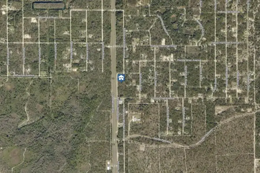 LOT 5 Nicasio Jay Avenue, Weeki Wachee, FL 34614 - #3