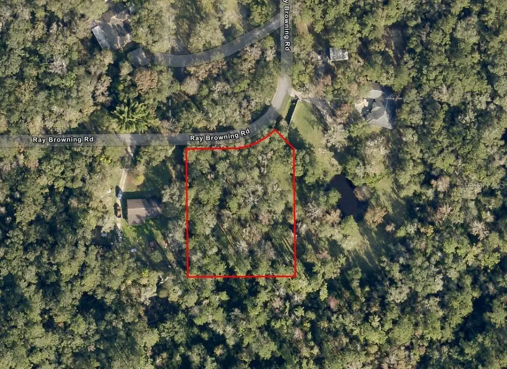 0 Ray Browning Road, Brooksville, FL 34601 - #1