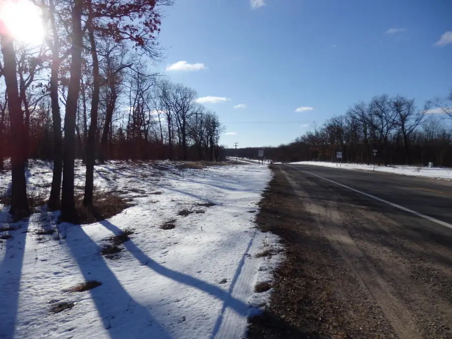 40 Acres M-55, Manistee, MI 49660 - #2