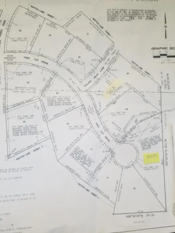 16289 Birch Top Ridge #40, Big Rapids, MI 49307