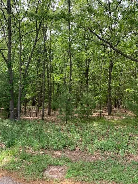 Lot 12 Lakeshore Street, Montague, MI 49437 - #2