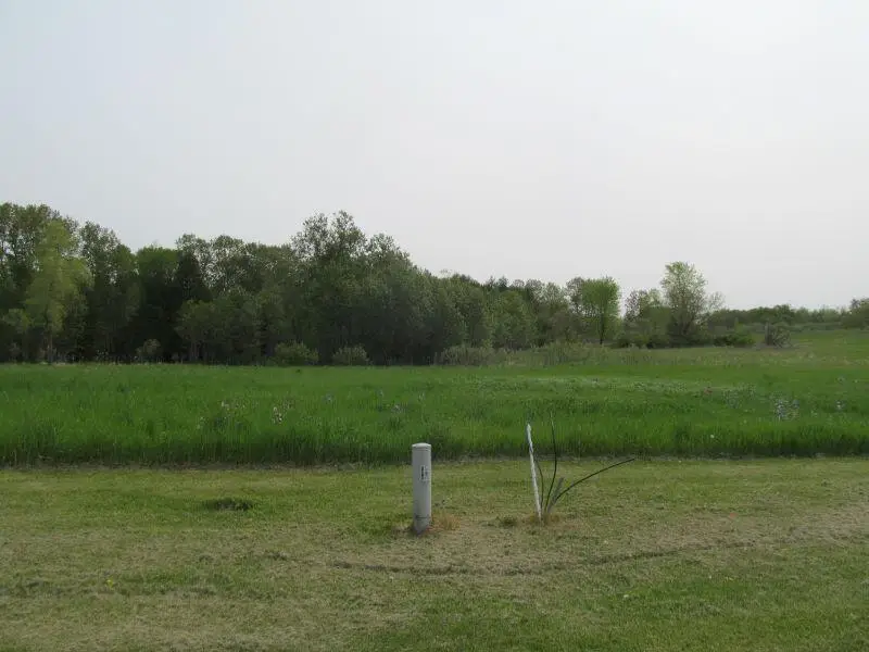 Lot #14 Hemlock Street, McBain, MI 49657 - #3