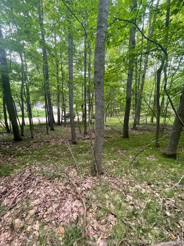 11270 Apache Wells Court, Canadian Lakes, MI 49346 - #1