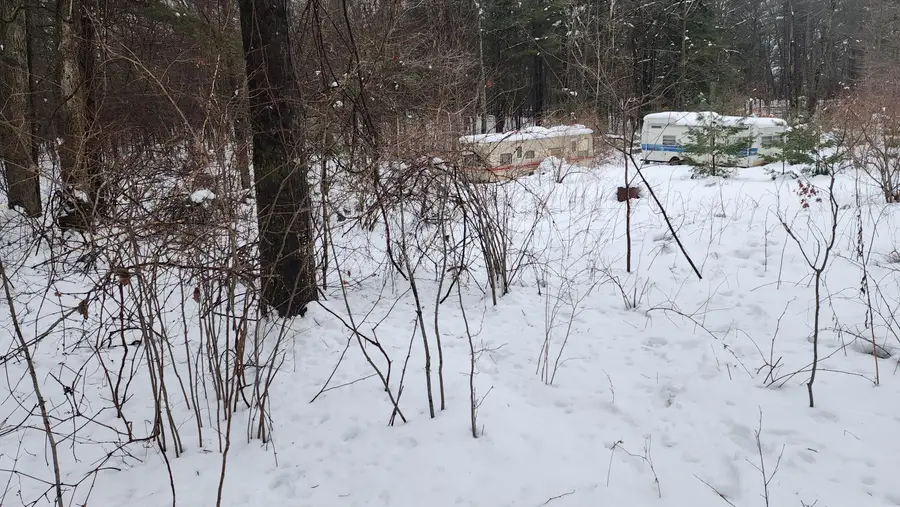 6908 E 18th Street, White Cloud, MI 49349 - Image #2