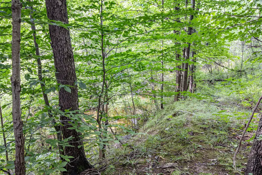 4360 S Maple Island Road, Fremont, MI 49412 - #3