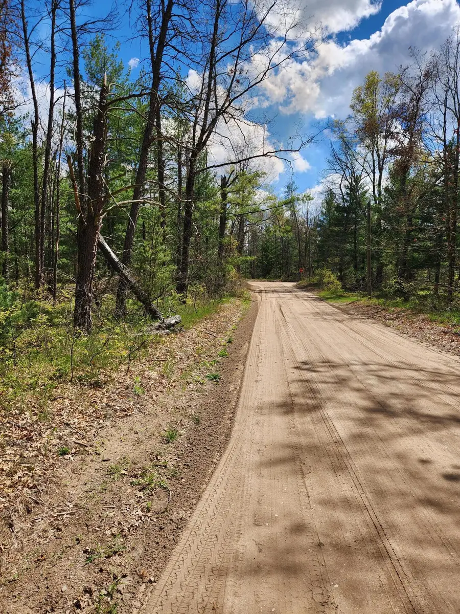 8950 S Chatman Street, Idlewild, MI 49642 - Image #2