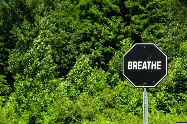 6854 N Nature Lane, La Porte, IN 46350