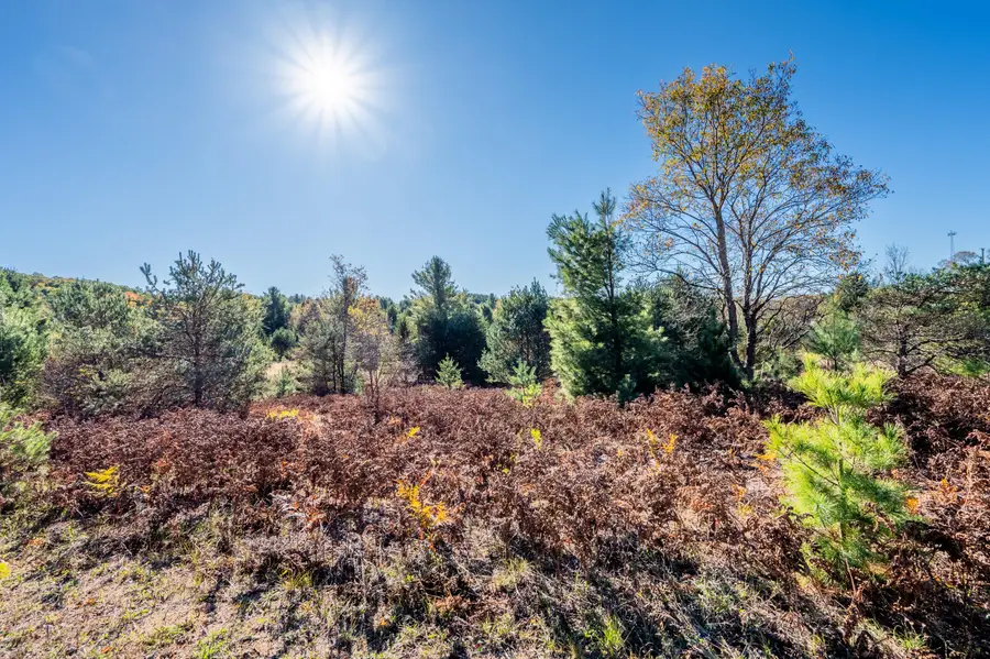 00 48 Rd #2, Cadillac, MI 49601 - Image #3