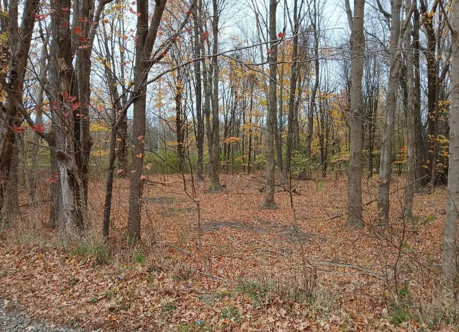#3