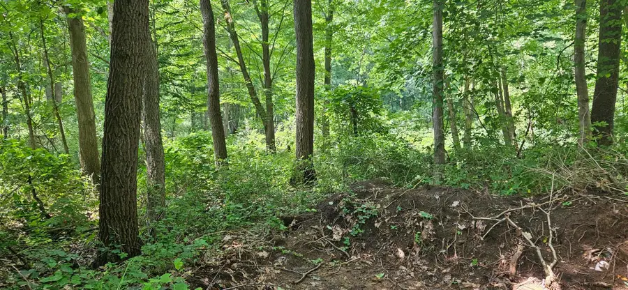 #3
