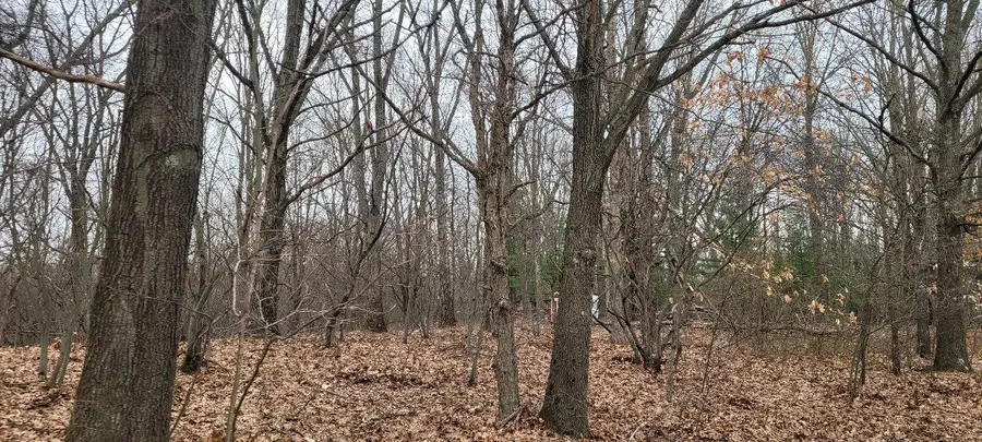 #2
