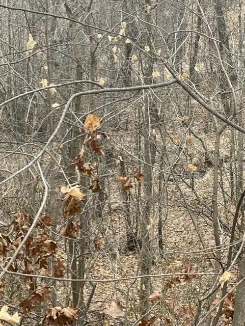 #3
