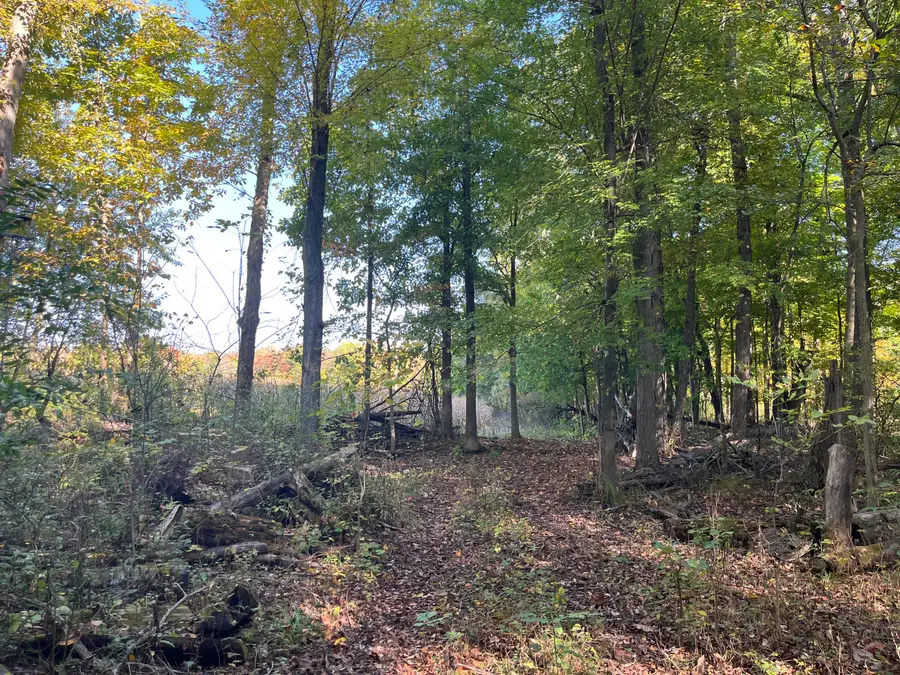 W St Joseph Street, Lawrence, MI 49064 - Image #3