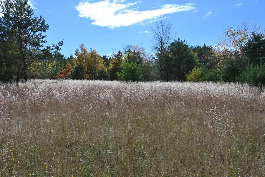 0 Motz Road Sw, Kalkaska, MI 49646 - Image #3