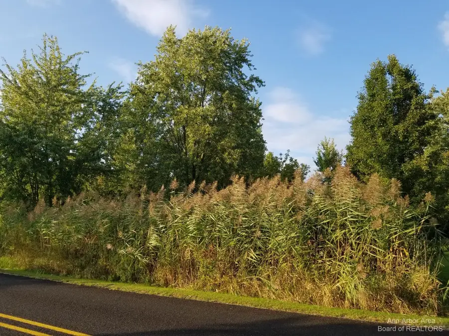 7966 Kingsley Drive, Onsted, MI 49265 - #3