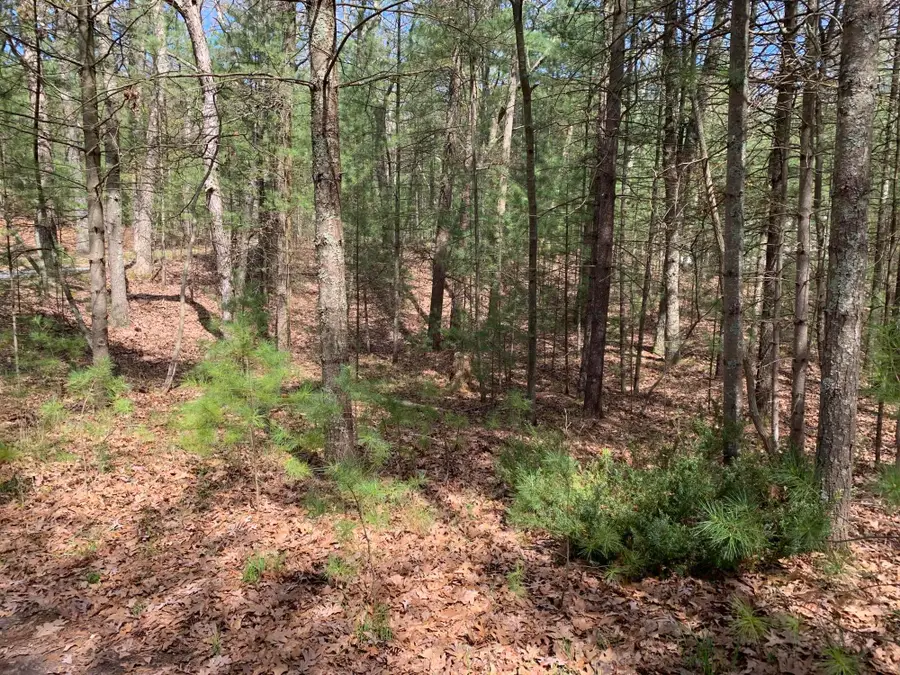 Lenox Avenue, Pentwater, MI 49449 - Image #2