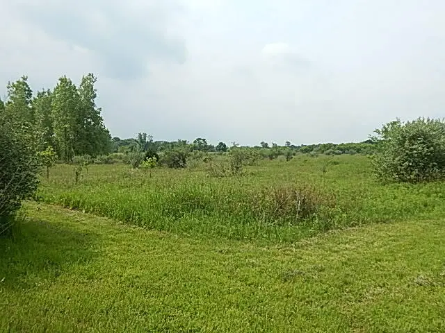#3