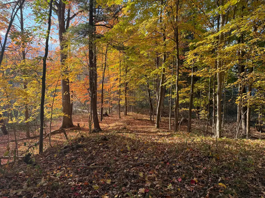 5950 S Lake George Road Road, Dryden, MI 48428 - Image #2