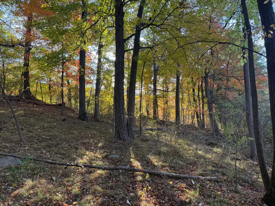 5950 S Lake George Road Road, Dryden, MI 48428 - Image #3