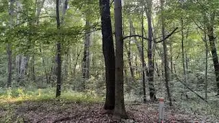 #1