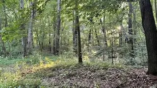 #2