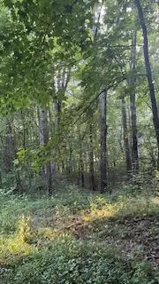 #3