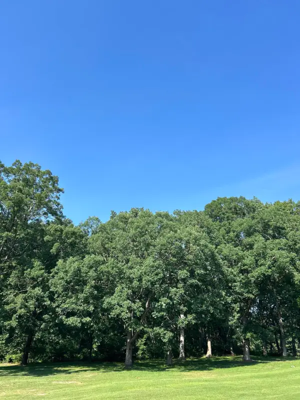 1 Lilac Lane, Grand Beach, MI 49117