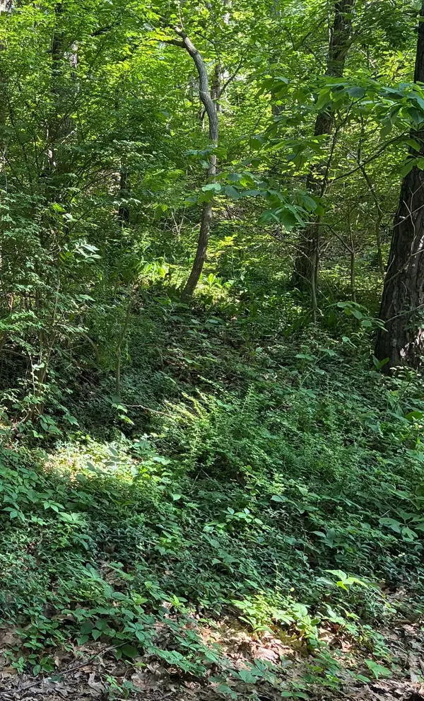 2 Lilac Lane, Grand Beach, MI 49117