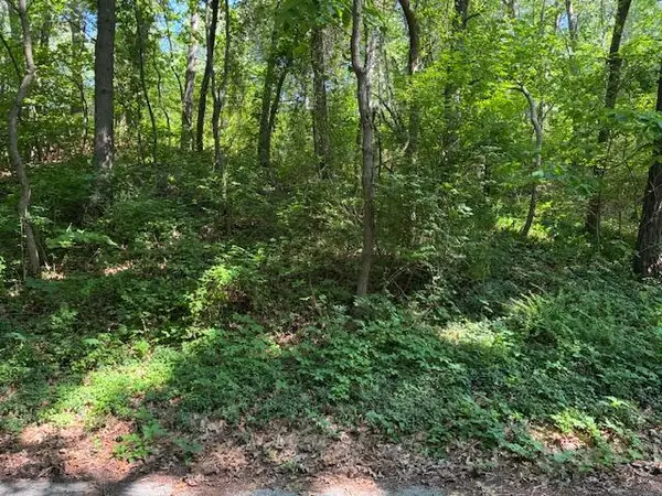 4 Lilac Lane, Grand Beach, MI 49117