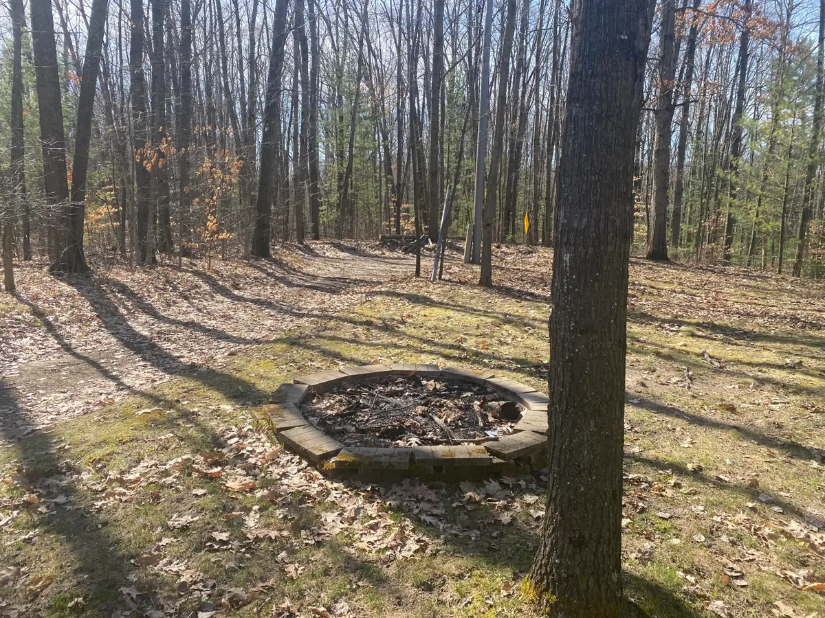 9019 John Street, Mecosta, MI 49332 - Image #1