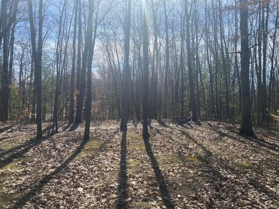 9019 John Street, Mecosta, MI 49332 - Image #2