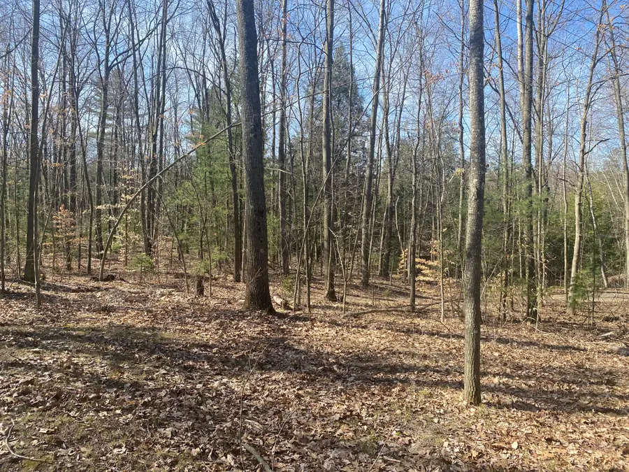 9019 John Street, Mecosta, MI 49332 - Image #3