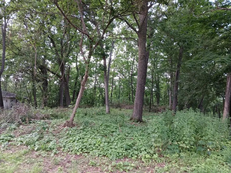 1272 Westlake Woods Drive Drive, Springfield, MI 49037 - Image #2