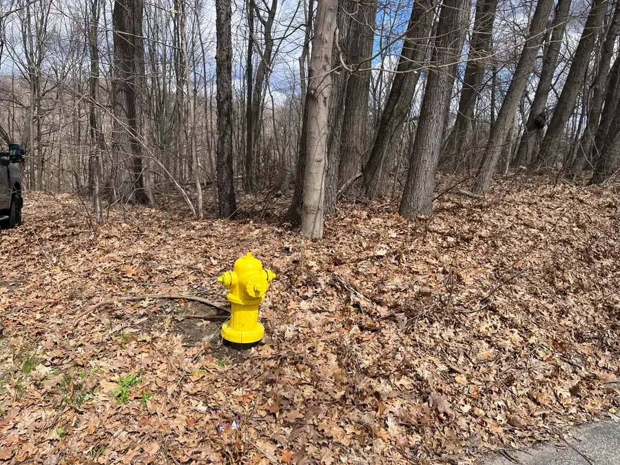 519 S Shore Drive, Battle Creek, MI 49014 - #3