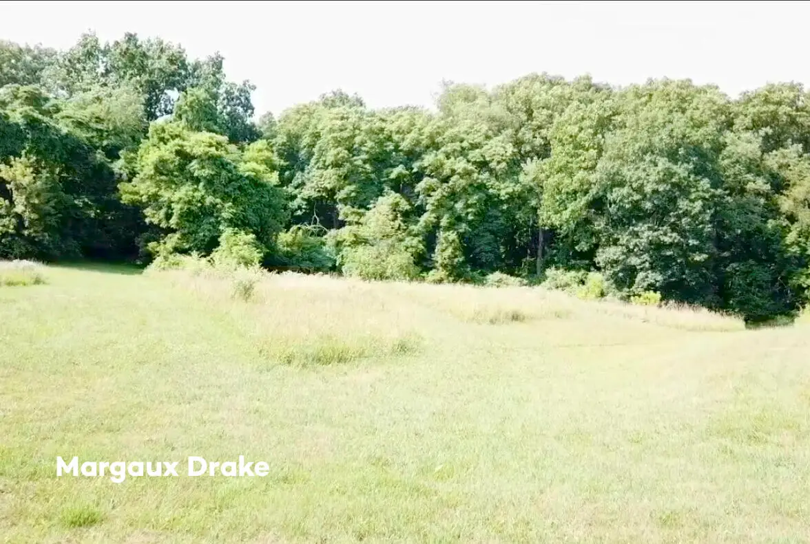 #1