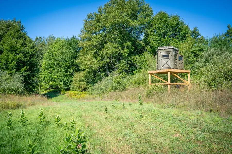 Parcel B N 168th Avenue, Walkerville, MI 49459 - Image #3