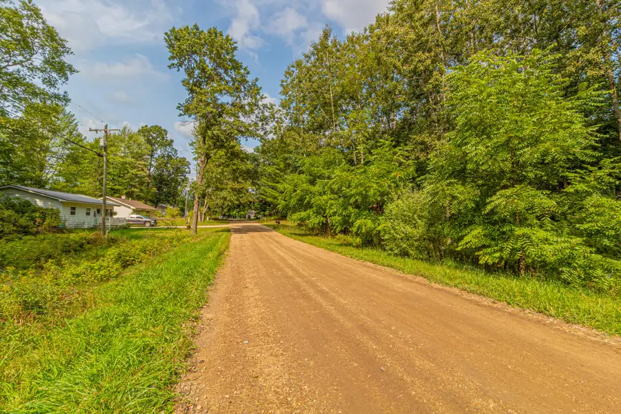 7574 9th Street, Canadian Lakes, MI 49346 - Image #3