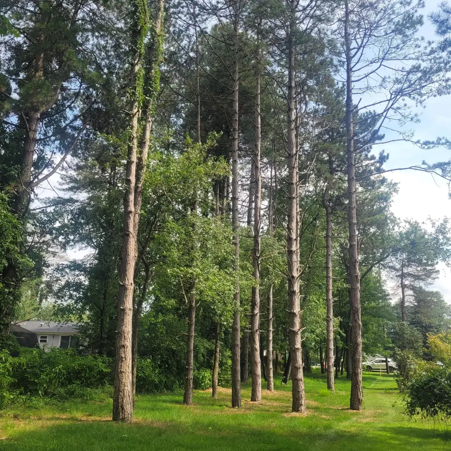 11348 Oakwood Drive, Jerome, MI 49249 - Image #3