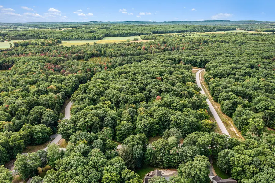 Lot 13 Pine Street, Mears, MI 49436 - Image #2